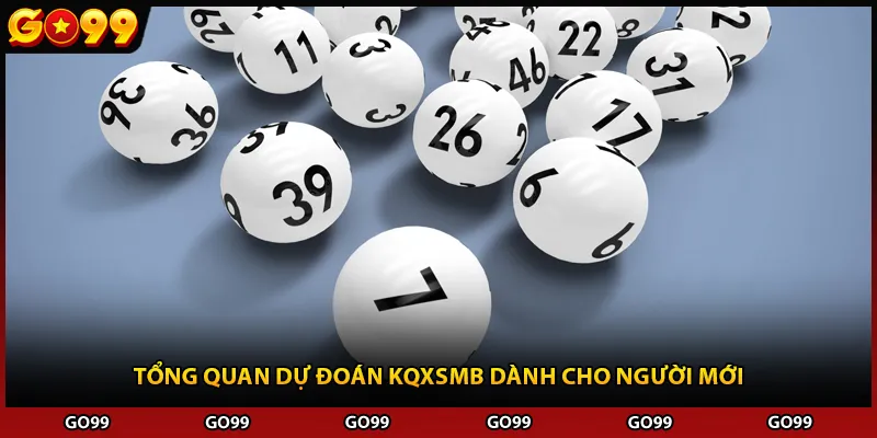 Tổng quan dự đoán KQXSMB dành cho người mới